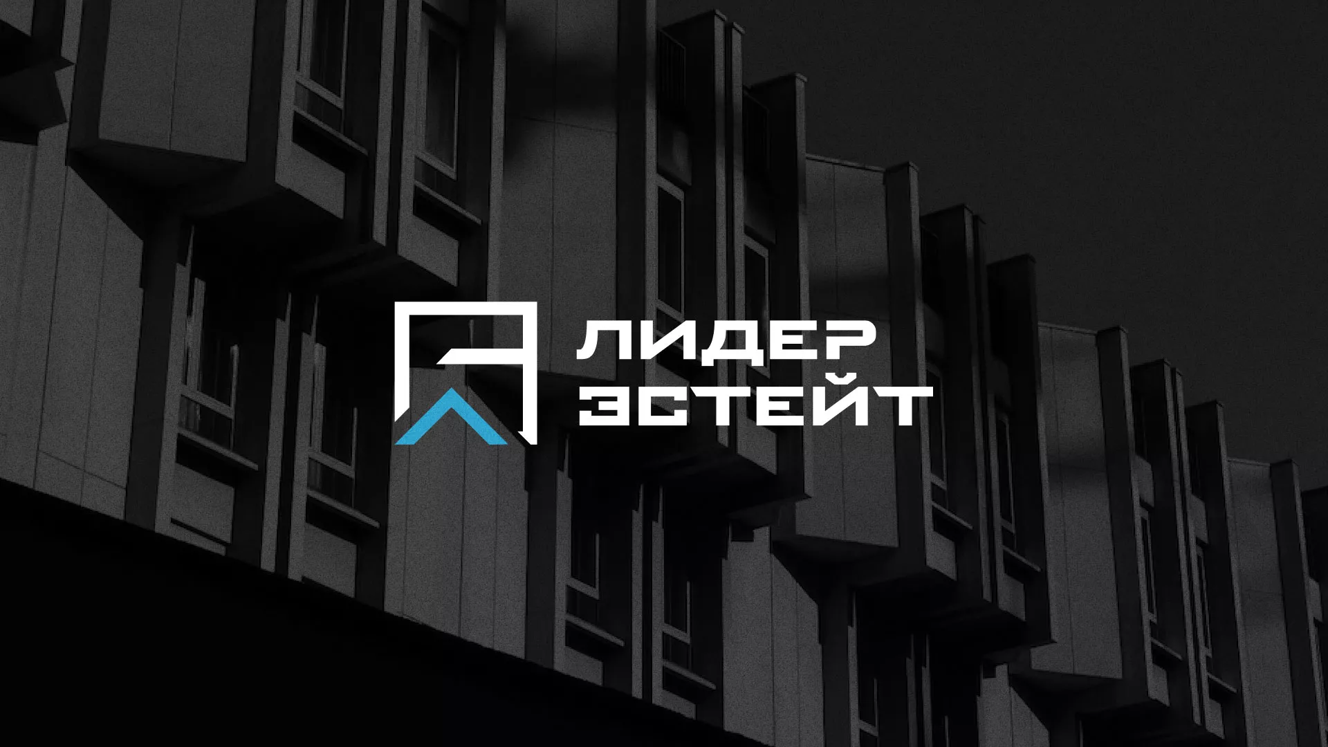 Разработка логотипа агентства недвижимости «Лидер Эстейт» в Мариинском Посаде